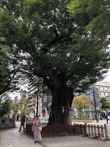 大國魂神社の前で